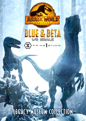 Blue & Beta (Bonus Version)