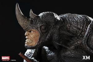 Rhino Bust